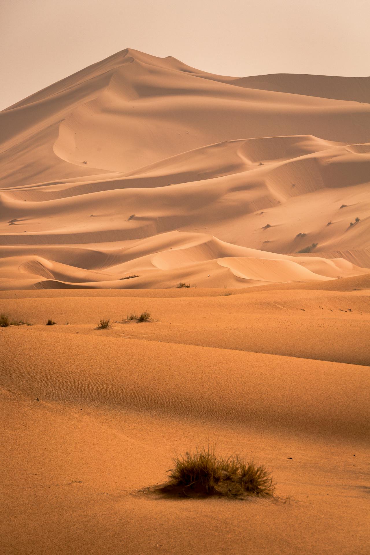 deserto
