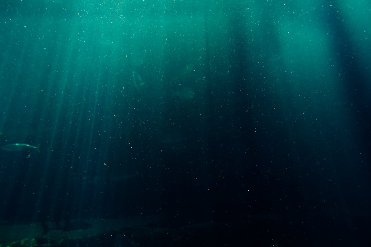 oceano