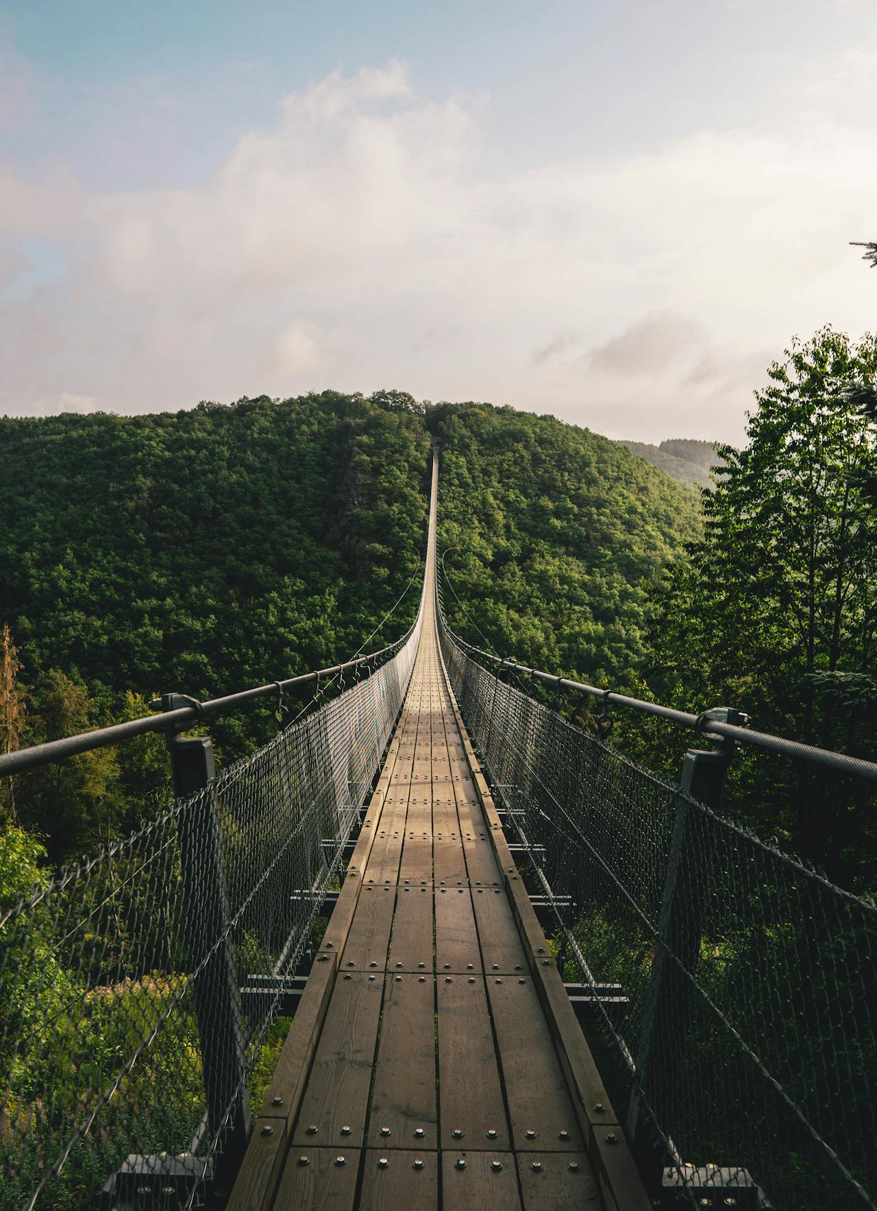 ponte